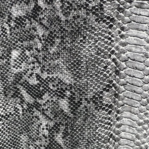 Rebecca Taylor Snake Print Zip Shoulder Long Sleeve Blouse Black Gray size 8 - Picture 5 of 14